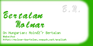 bertalan molnar business card